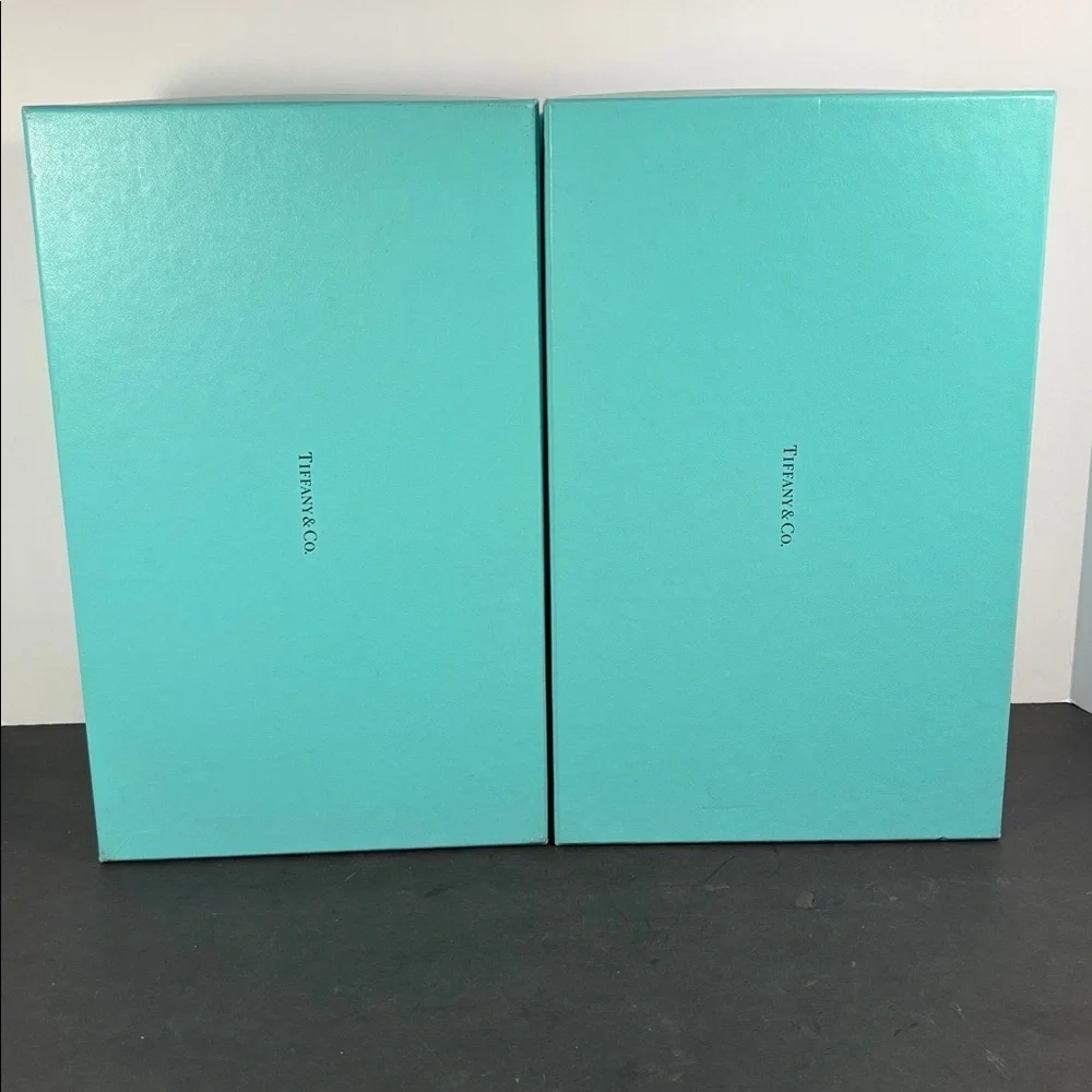 Tiffany & Co. Large Blue Storage Box Set (2) with Lids